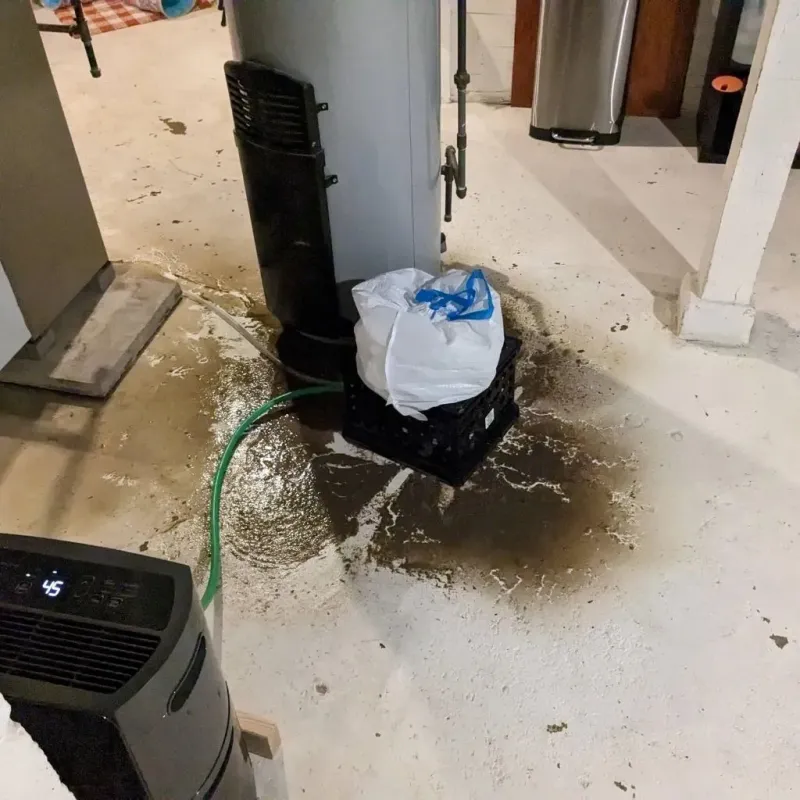 Sewage Backup Cleanup Service in Hubbard, OR